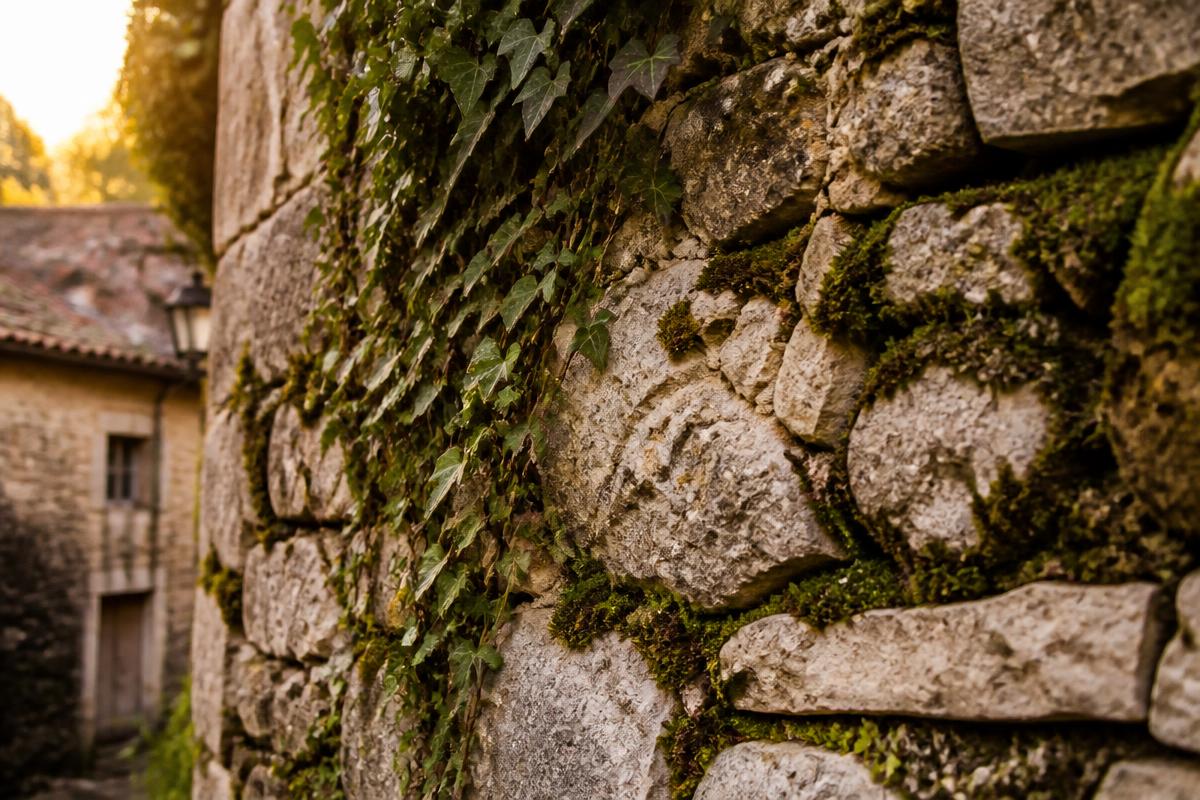 Stone & Path
